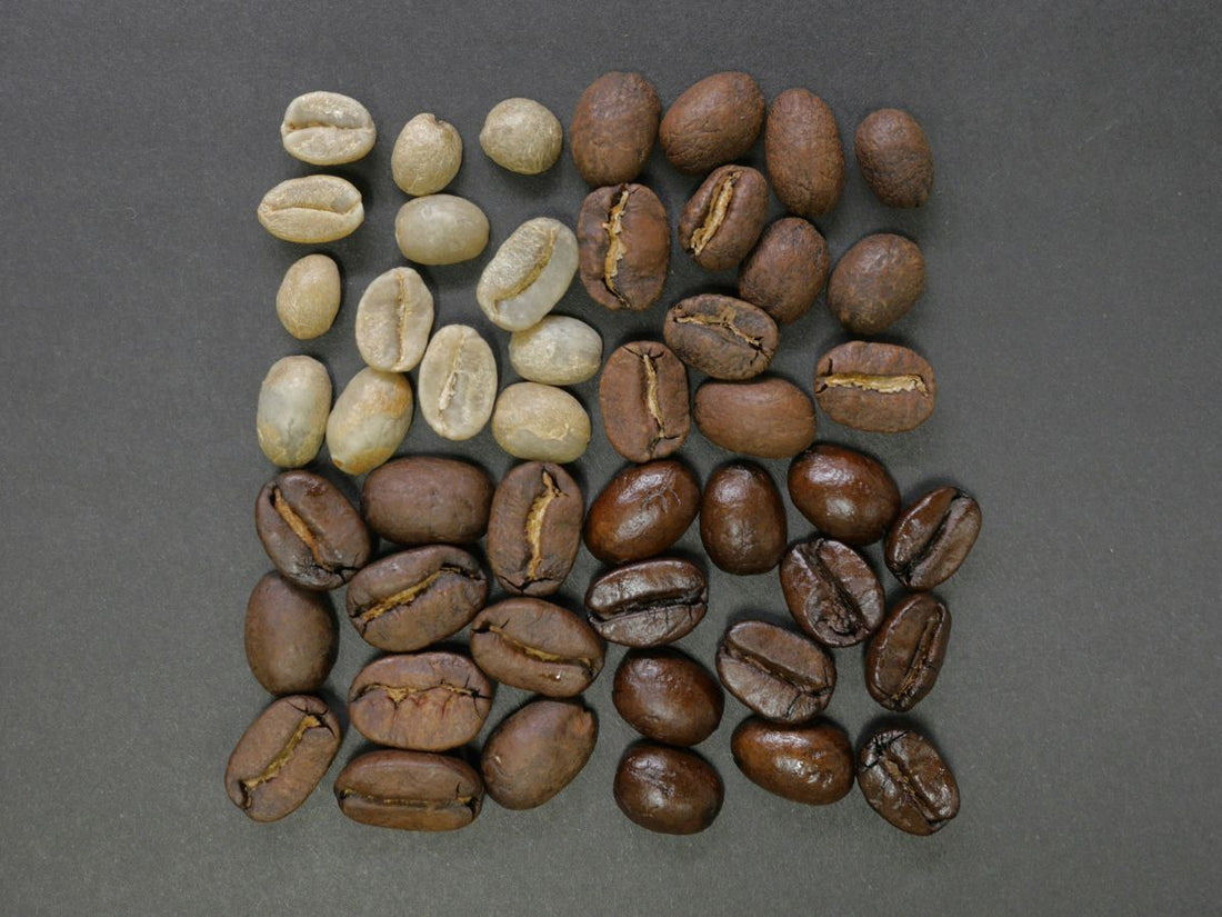 Cocoa Varieties – Origin, Rarity, Flavor Profile & More