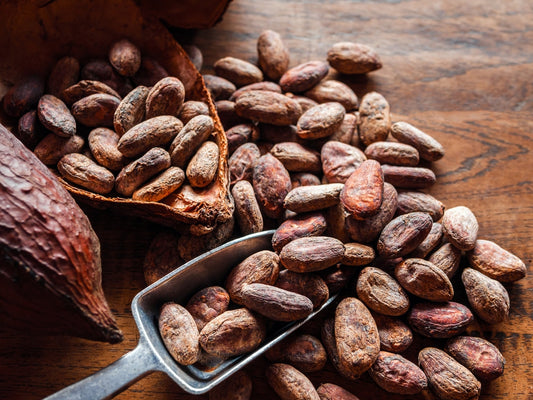History of Cocoa: Origin, Discovery, Beans, Tree, and More