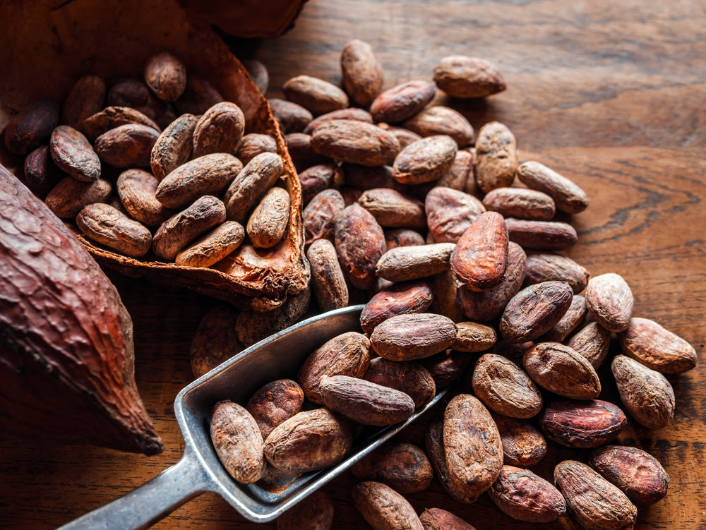 History of Cocoa: Origin, Discovery, Beans, Tree, and More